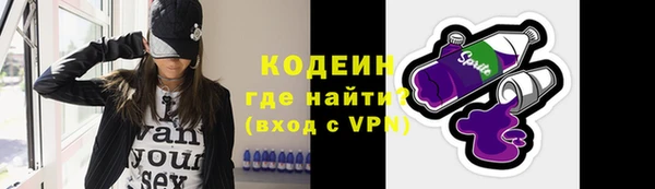 ГАЛЛЮЦИНОГЕННЫЕ ГРИБЫ Богданович